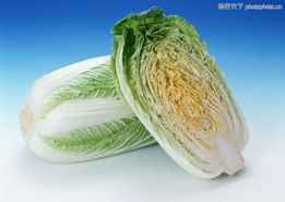 水果蔬菜0120 水果蔬菜圖 水果食品圖庫(kù)