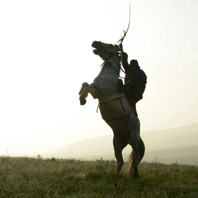 學海無涯，伏櫪前行